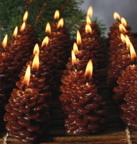 100% Pure Beeswax Pinecone Candle - Chocolate - The Bee Man Candle Company
