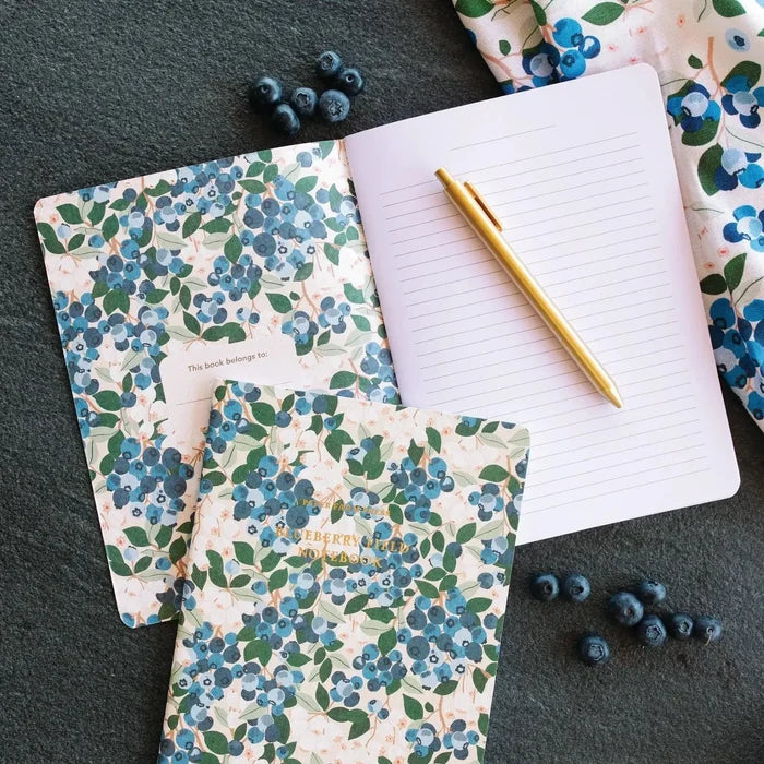 Assorted Journals/Notebooks