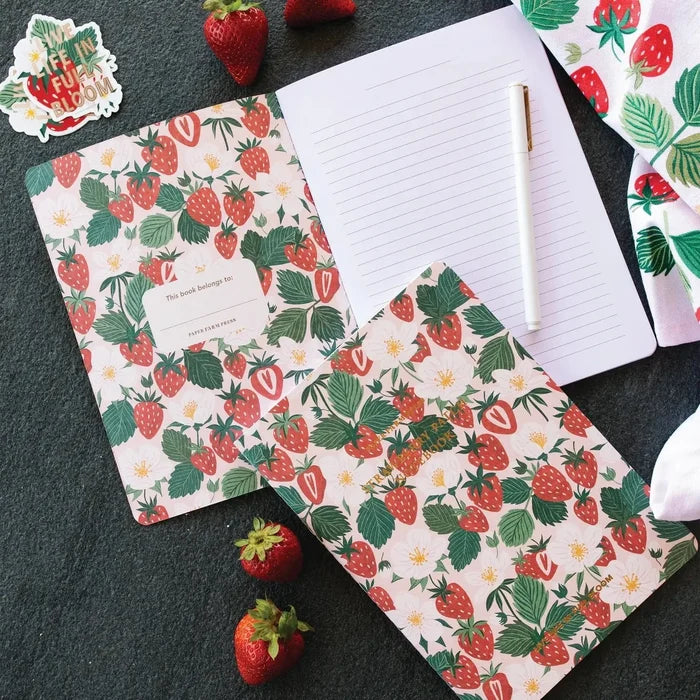 Assorted Journals/Notebooks