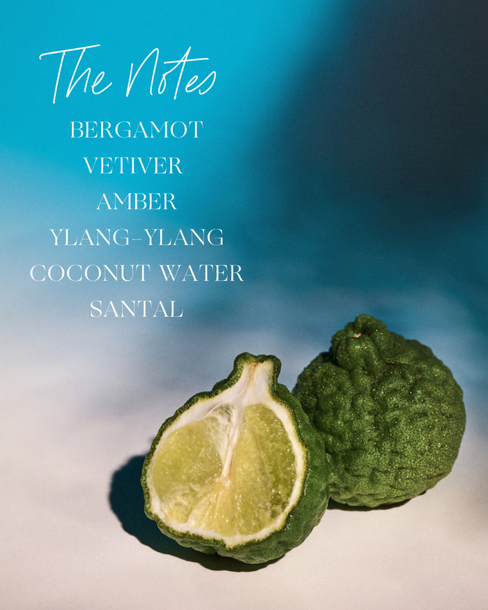 The Notes: BERGAMOT, VETIVER, AMBER, YLANG-YLANG, COCONUT WATER, SANTAL. This text is overlaid on an image of two bergamot fruits, one sliced open, against a blue and white background.