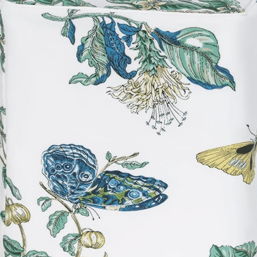 Baudin Butterfly Tissue Box Cover
