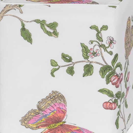 Baudin Butterfly Tissue Box Cover