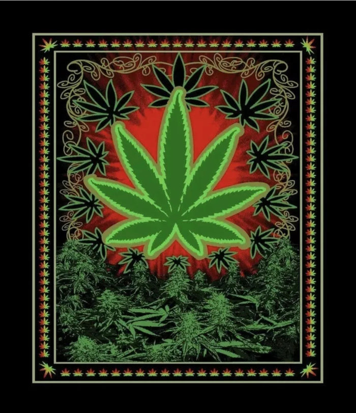 CHICKO MARIJUANA LEAF WEED PLUSH BLANKET SOFTY AND WARM QUEEN SIZE