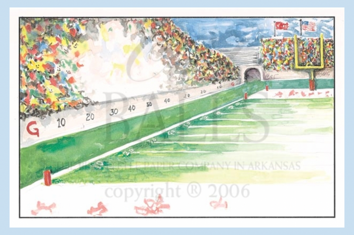 Football Field Touchdown Celebration Party Invitation