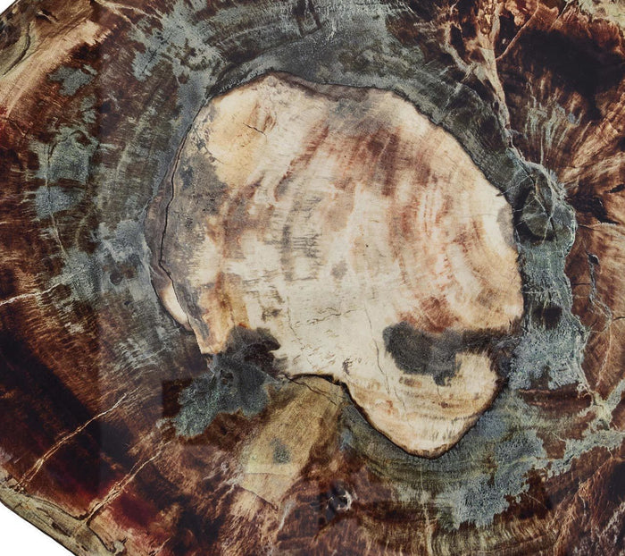FOSSIL COASTERS - Pioneer Linens