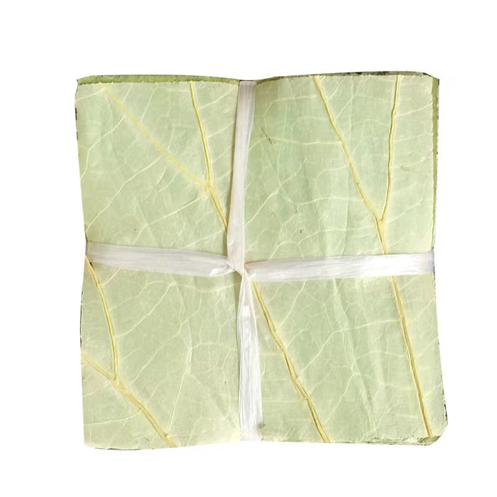 Lotus Root Leaves (50 pieces)