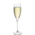 Premium N.3 Calice Champagne 26 cl Set 6 pz