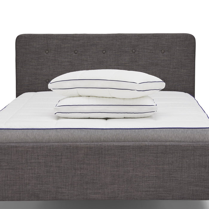 Premium Nectar Pillow (Pair)