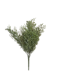 Sage Bush Stem