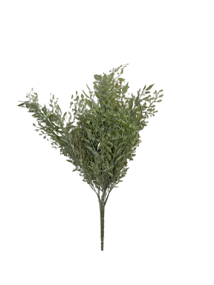 Sage Bush Stem